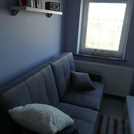 Business Apartments 28 Бидгощ Екстер'єр фото